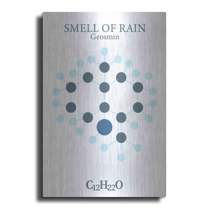 Luxe Metal Art 'Smell Of Rain Molecule' by Luxe Portfolio, Metal Wall Art