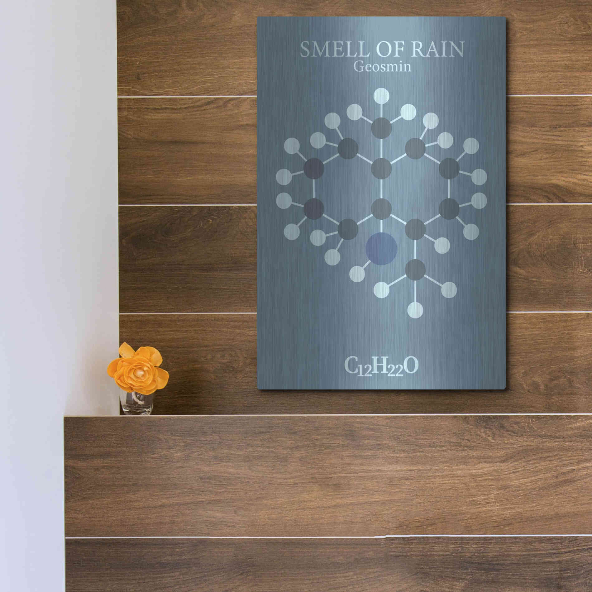 Luxe Metal Art 'Smell Of Rain Molecule 2' by Luxe Portfolio, Metal Wall Art,12x16