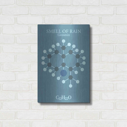 Luxe Metal Art 'Smell Of Rain Molecule 2' by Luxe Portfolio, Metal Wall Art,16x24