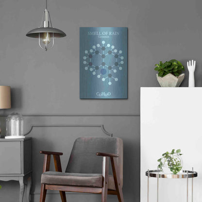 Luxe Metal Art 'Smell Of Rain Molecule 2' by Luxe Portfolio, Metal Wall Art,16x24