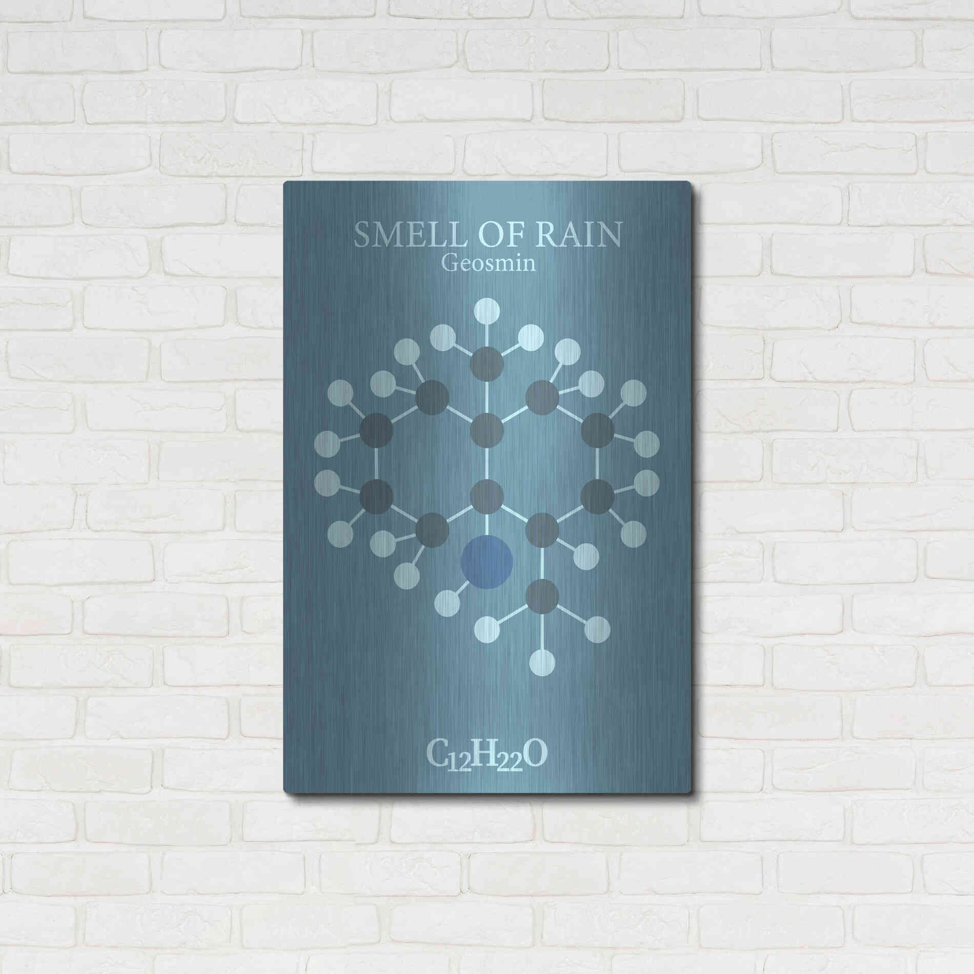 Luxe Metal Art 'Smell Of Rain Molecule 2' by Luxe Portfolio, Metal Wall Art,24x36