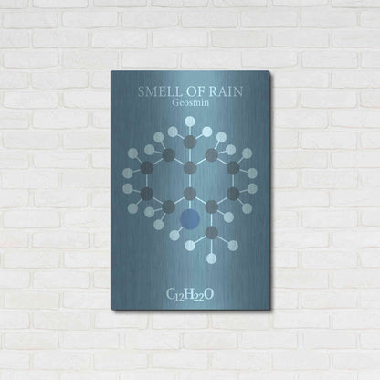Luxe Metal Art 'Smell Of Rain Molecule 2' by Luxe Portfolio, Metal Wall Art,24x36