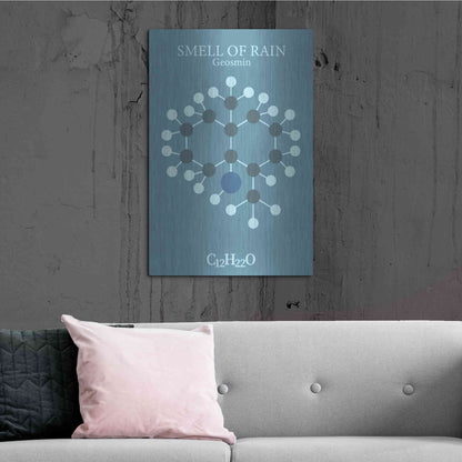 Luxe Metal Art 'Smell Of Rain Molecule 2' by Luxe Portfolio, Metal Wall Art,24x36