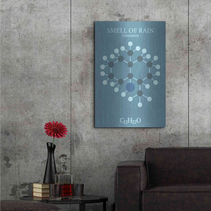 Luxe Metal Art 'Smell Of Rain Molecule 2' by Luxe Portfolio, Metal Wall Art,24x36