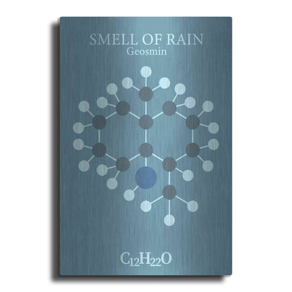Luxe Metal Art 'Smell Of Rain Molecule 2' by Luxe Portfolio, Metal Wall Art