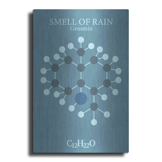 Luxe Metal Art 'Smell Of Rain Molecule 2' by Luxe Portfolio, Metal Wall Art