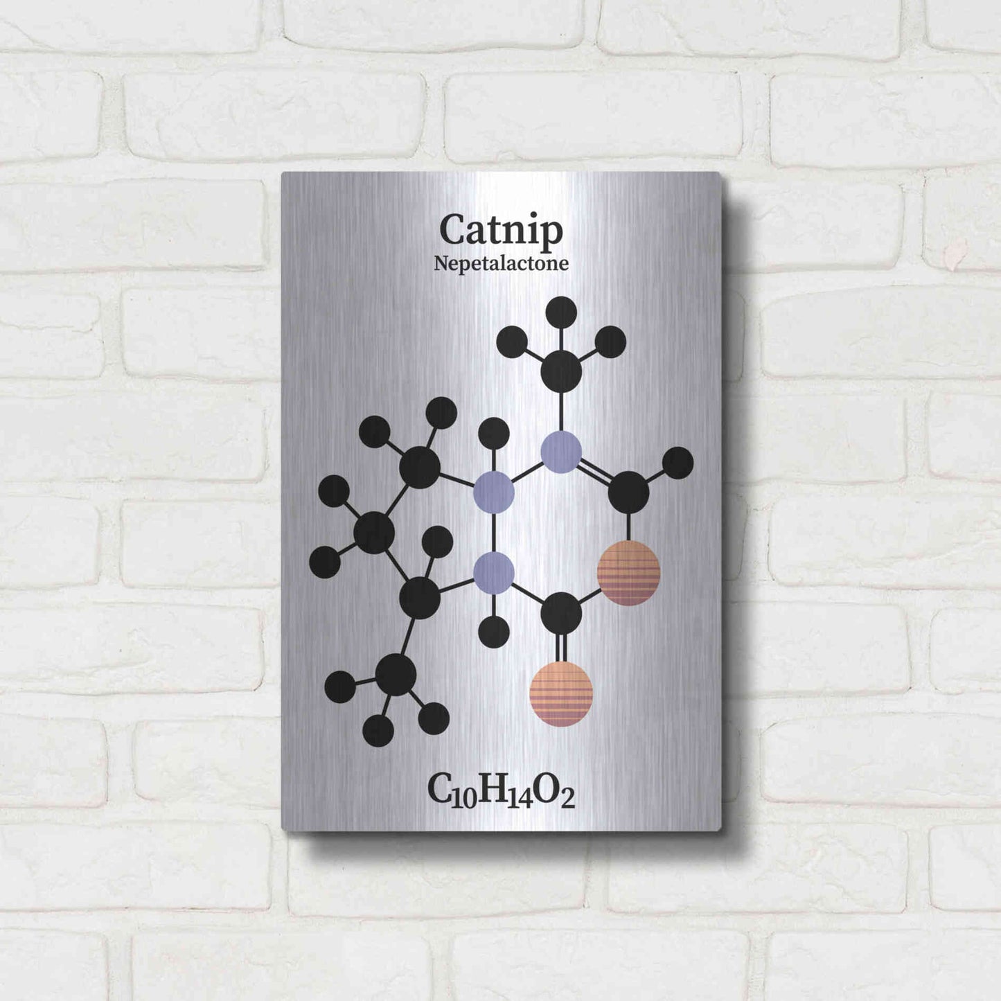 Luxe Metal Art 'Catnip Molecule' by Luxe Portfolio, Metal Wall Art,12x16