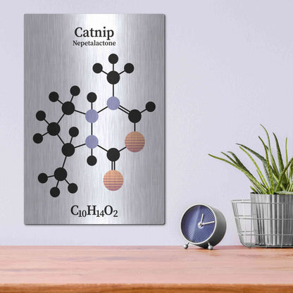 Luxe Metal Art 'Catnip Molecule' by Luxe Portfolio, Metal Wall Art,12x16