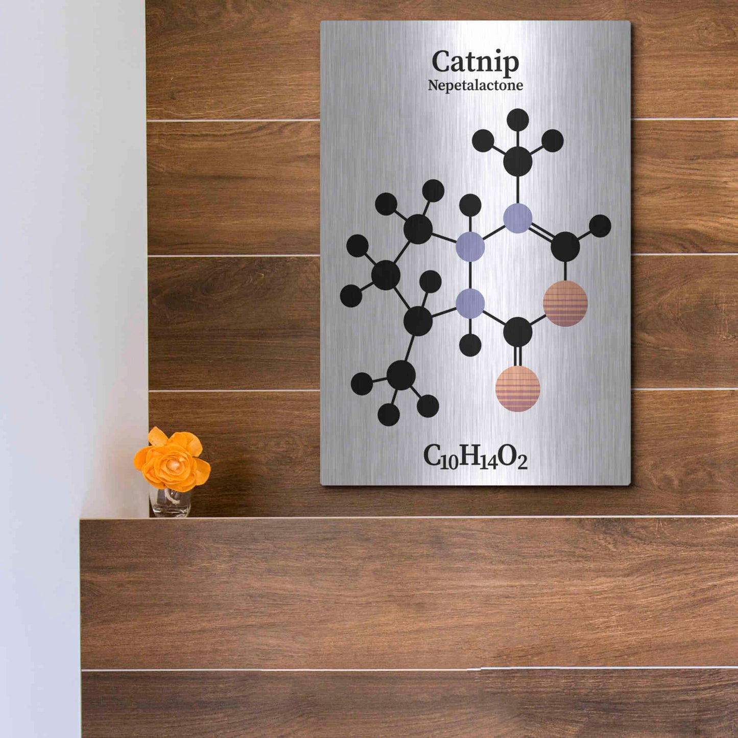 Luxe Metal Art 'Catnip Molecule' by Luxe Portfolio, Metal Wall Art,12x16