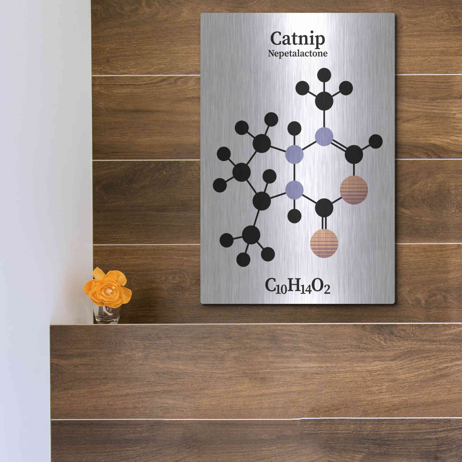 Luxe Metal Art 'Catnip Molecule' by Luxe Portfolio, Metal Wall Art,12x16