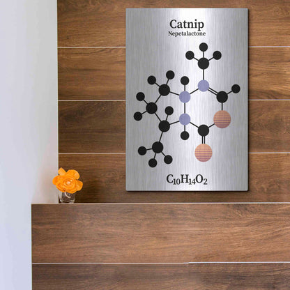 Luxe Metal Art 'Catnip Molecule' by Luxe Portfolio, Metal Wall Art,12x16