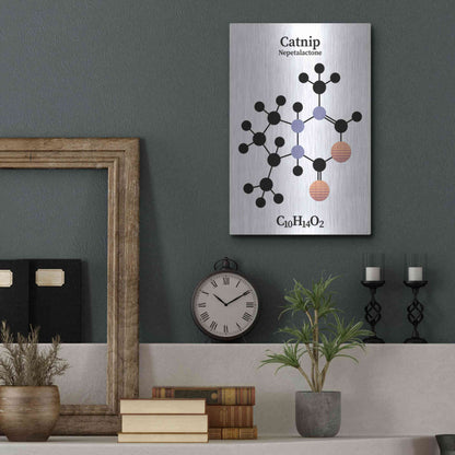 Luxe Metal Art 'Catnip Molecule' by Luxe Portfolio, Metal Wall Art,12x16