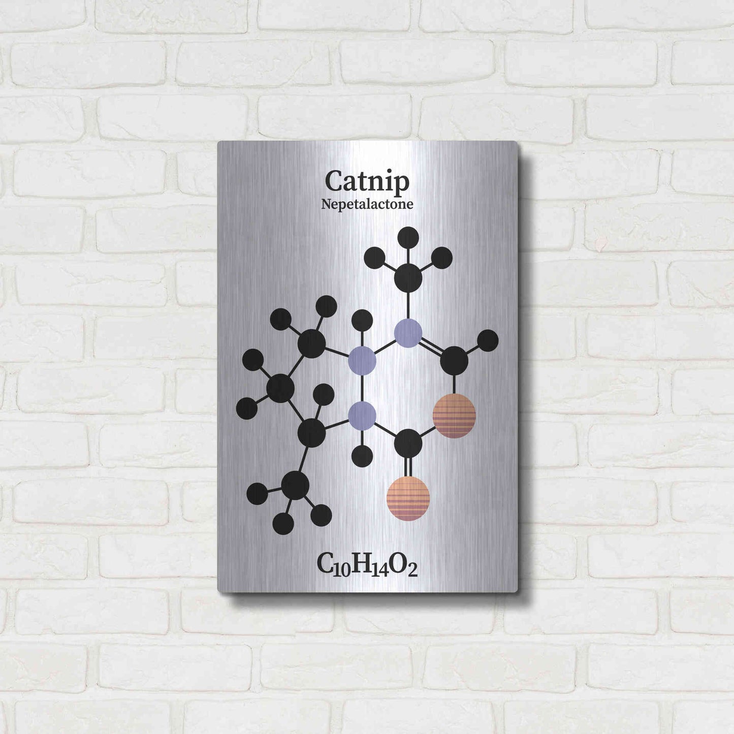 Luxe Metal Art 'Catnip Molecule' by Luxe Portfolio, Metal Wall Art,16x24