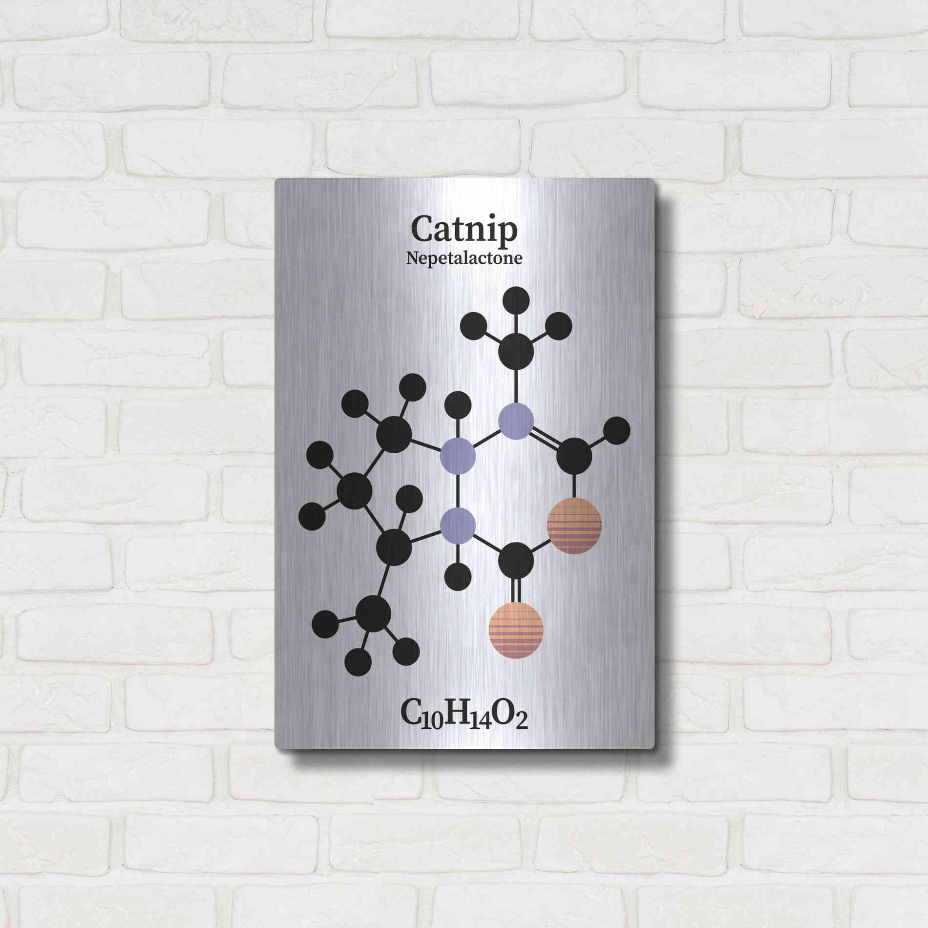 Luxe Metal Art 'Catnip Molecule' by Luxe Portfolio, Metal Wall Art,16x24
