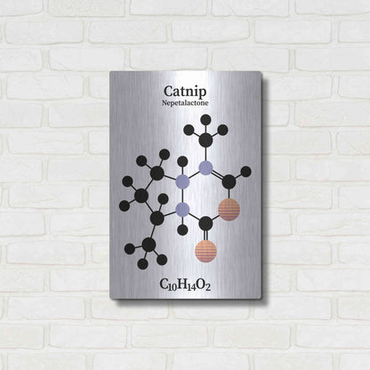 Luxe Metal Art 'Catnip Molecule' by Luxe Portfolio, Metal Wall Art,16x24
