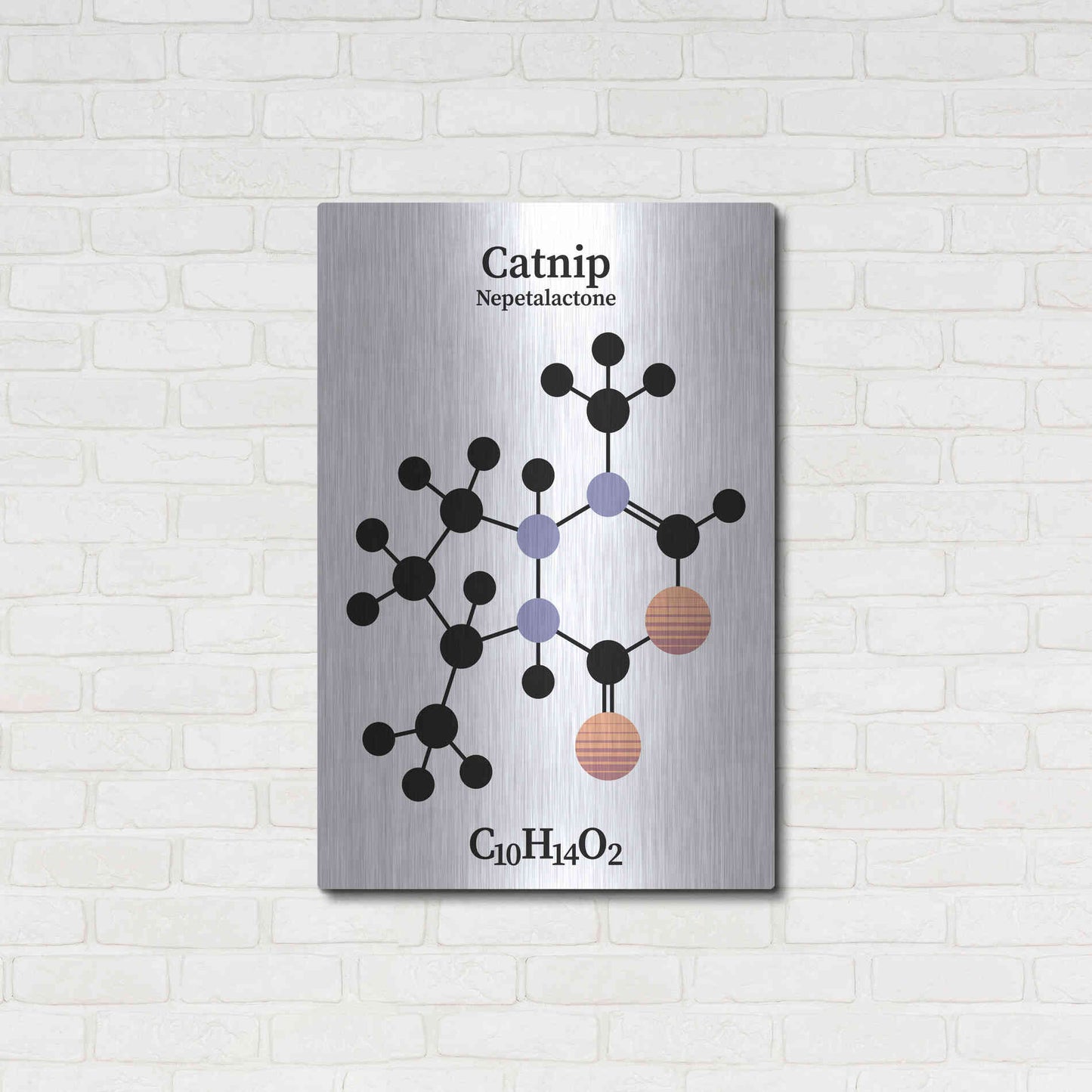 Luxe Metal Art 'Catnip Molecule' by Luxe Portfolio, Metal Wall Art,24x36