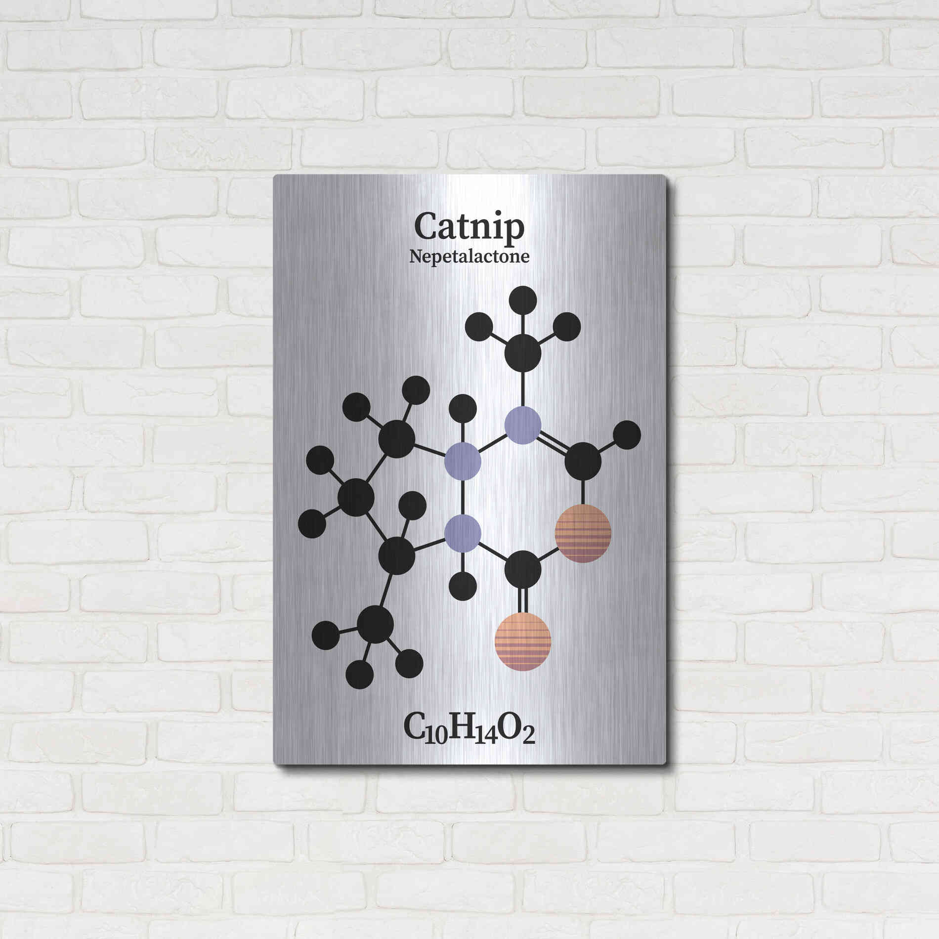 Luxe Metal Art 'Catnip Molecule' by Luxe Portfolio, Metal Wall Art,24x36