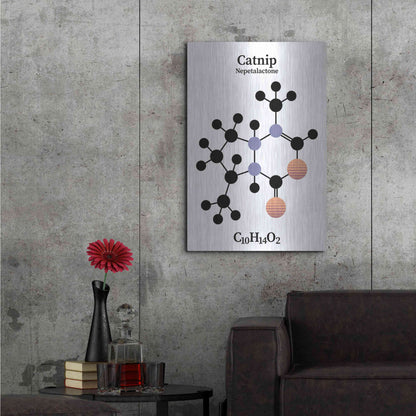 Luxe Metal Art 'Catnip Molecule' by Luxe Portfolio, Metal Wall Art,24x36