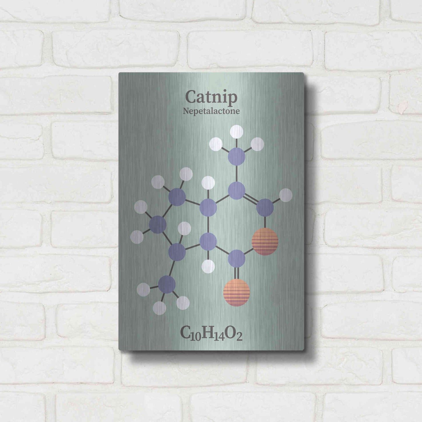 Luxe Metal Art 'Catnip Molecule 2' by Luxe Portfolio, Metal Wall Art,12x16