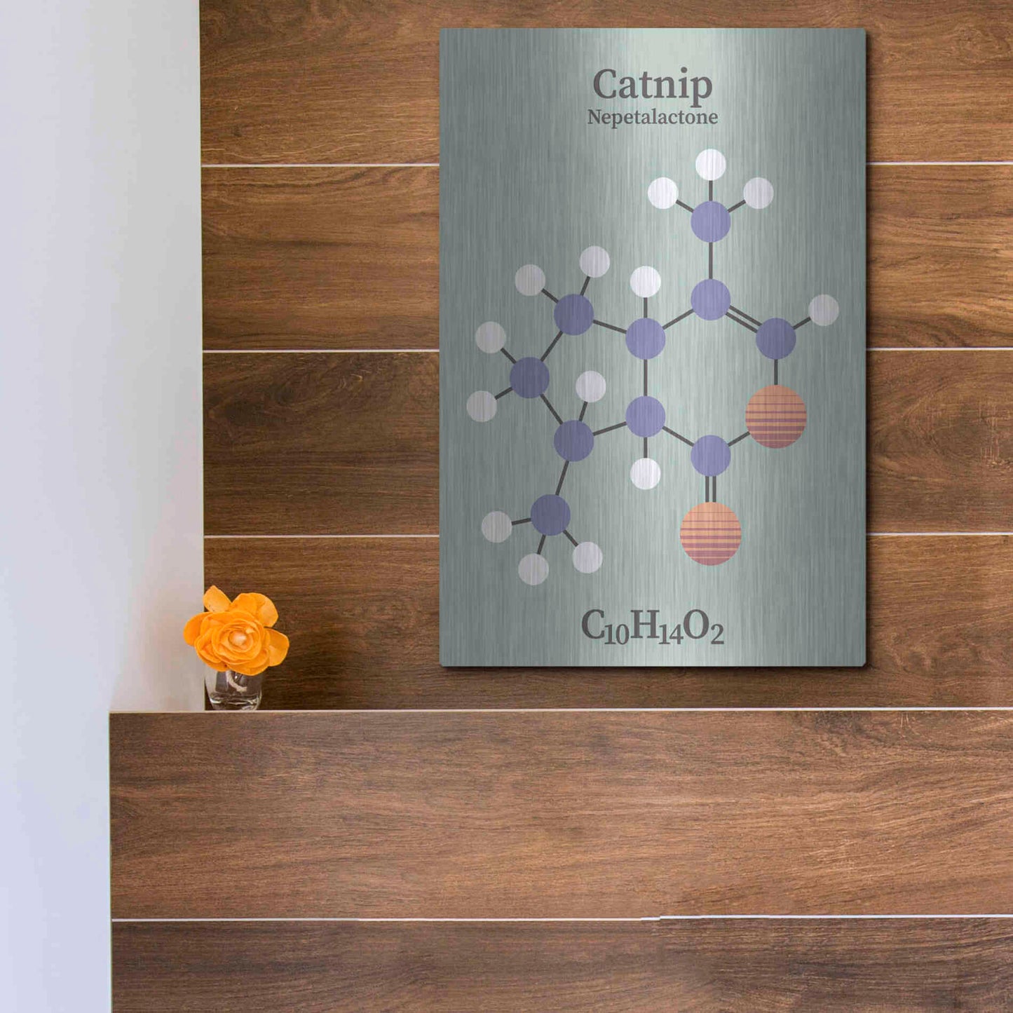 Luxe Metal Art 'Catnip Molecule 2' by Luxe Portfolio, Metal Wall Art,12x16