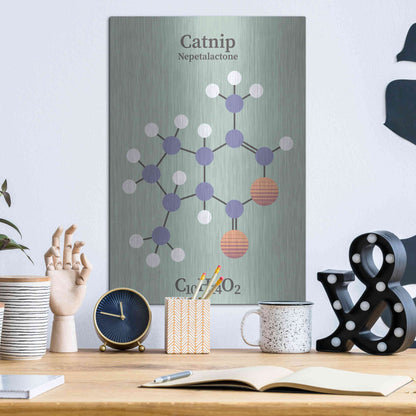 Luxe Metal Art 'Catnip Molecule 2' by Luxe Portfolio, Metal Wall Art,12x16