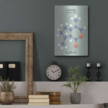 Luxe Metal Art 'Catnip Molecule 2' by Luxe Portfolio, Metal Wall Art,12x16