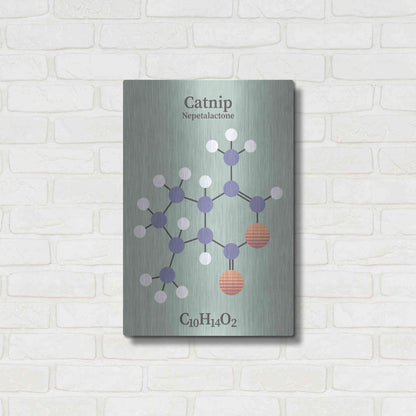 Luxe Metal Art 'Catnip Molecule 2' by Luxe Portfolio, Metal Wall Art,16x24