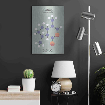 Luxe Metal Art 'Catnip Molecule 2' by Luxe Portfolio, Metal Wall Art,16x24