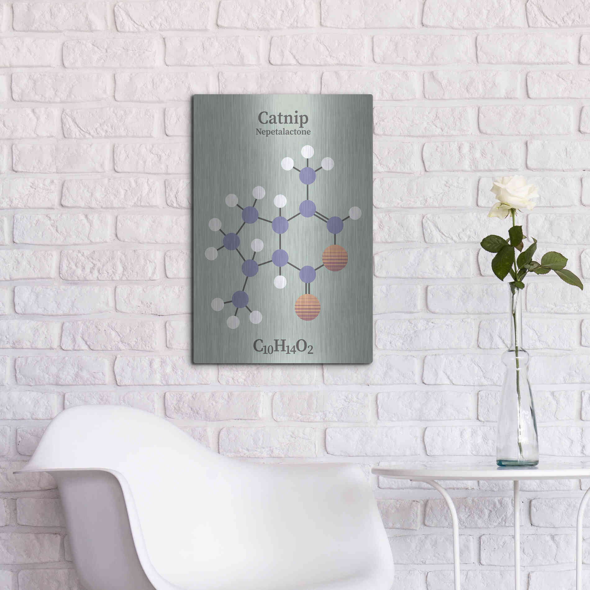 Luxe Metal Art 'Catnip Molecule 2' by Luxe Portfolio, Metal Wall Art,16x24