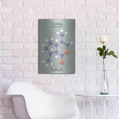 Luxe Metal Art 'Catnip Molecule 2' by Luxe Portfolio, Metal Wall Art,16x24