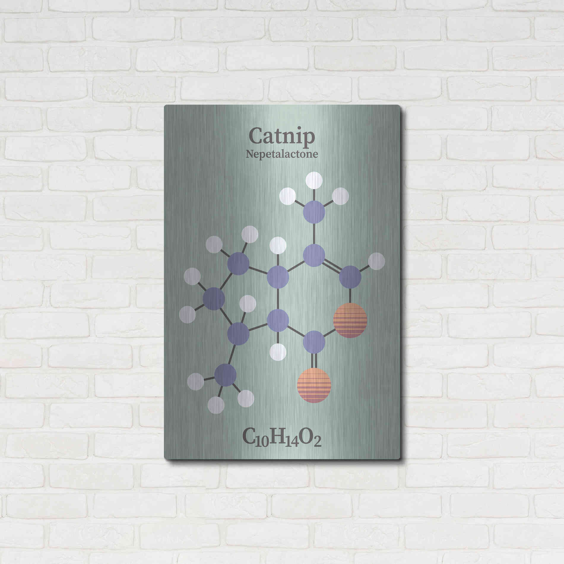 Luxe Metal Art 'Catnip Molecule 2' by Luxe Portfolio, Metal Wall Art,24x36