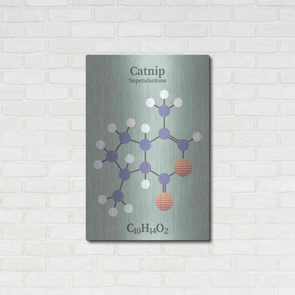 Luxe Metal Art 'Catnip Molecule 2' by Luxe Portfolio, Metal Wall Art,24x36