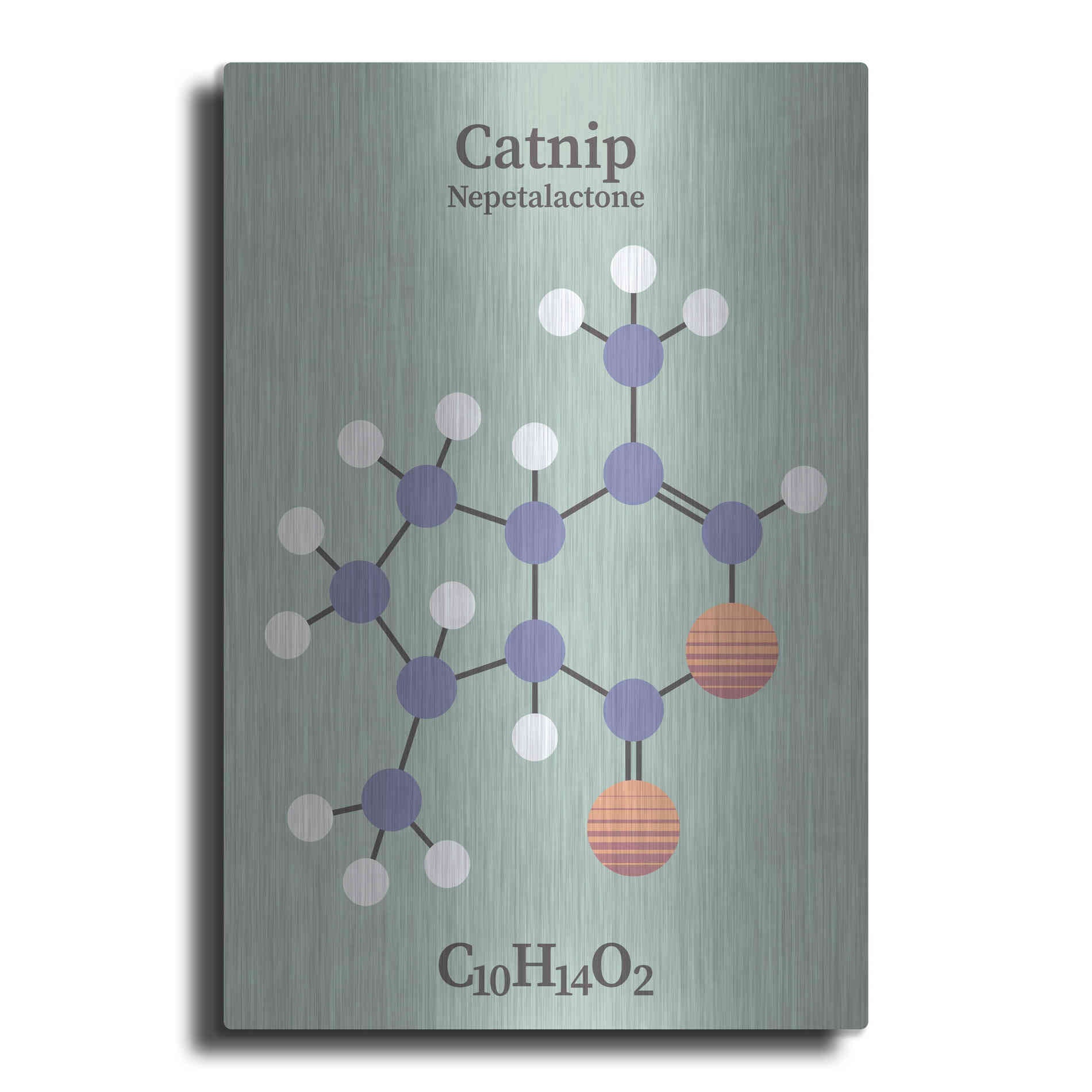 Luxe Metal Art 'Catnip Molecule 2' by Luxe Portfolio, Metal Wall Art