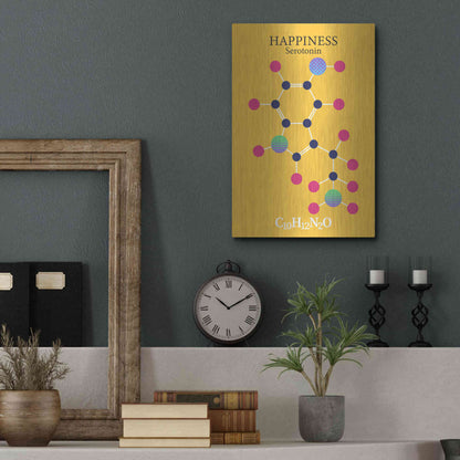 Luxe Metal Art 'Serotonin Molecule 2' by Luxe Portfolio, Metal Wall Art,12x16