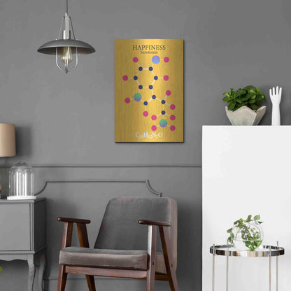 Luxe Metal Art 'Serotonin Molecule 2' by Luxe Portfolio, Metal Wall Art,16x24
