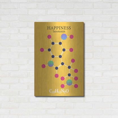 Luxe Metal Art 'Serotonin Molecule 2' by Luxe Portfolio, Metal Wall Art,24x36