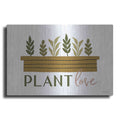 Luxe Metal Art 'Plant Love' by Lady Louise Designs, Metal Wall Art