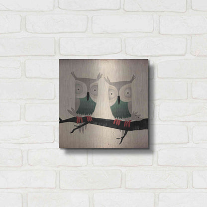 Luxe Metal Art 'Tan Owls Square' by Ryan Fowler, Metal Wall Art,12x12