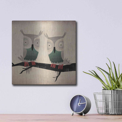 Luxe Metal Art 'Tan Owls Square' by Ryan Fowler, Metal Wall Art,12x12
