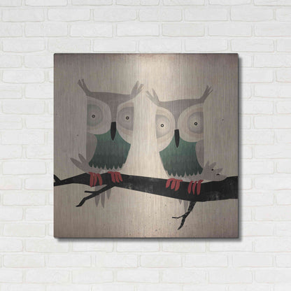 Luxe Metal Art 'Tan Owls Square' by Ryan Fowler, Metal Wall Art,36x36