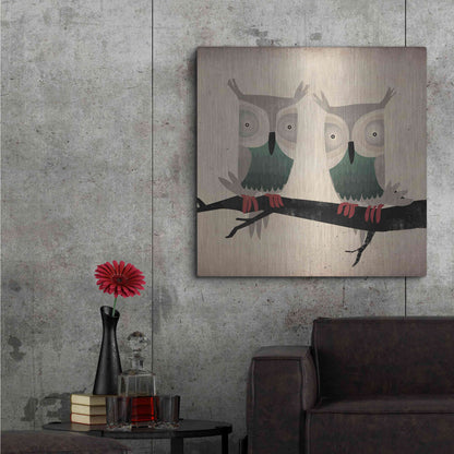 Luxe Metal Art 'Tan Owls Square' by Ryan Fowler, Metal Wall Art,36x36
