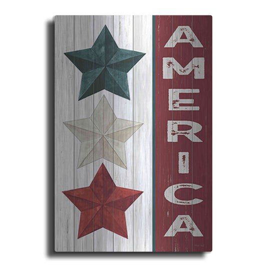 Luxe Metal Art 'America' by Cindy Jacobs, Metal Wall Art