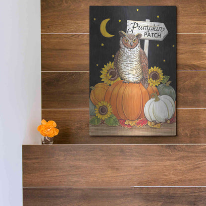 Luxe Metal Art 'Pumpkin Patch Owl' by Deb Strain, Metal Wall Art,12x16