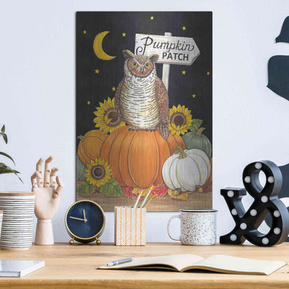 Luxe Metal Art 'Pumpkin Patch Owl' by Deb Strain, Metal Wall Art,12x16