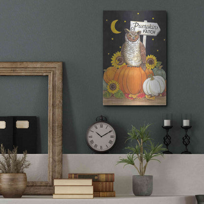 Luxe Metal Art 'Pumpkin Patch Owl' by Deb Strain, Metal Wall Art,12x16