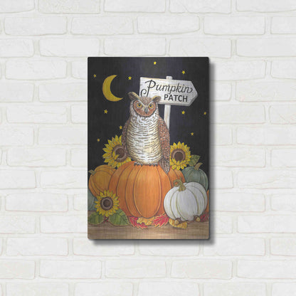 Luxe Metal Art 'Pumpkin Patch Owl' by Deb Strain, Metal Wall Art,16x24