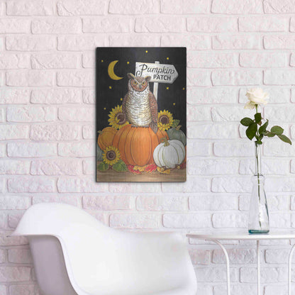 Luxe Metal Art 'Pumpkin Patch Owl' by Deb Strain, Metal Wall Art,16x24