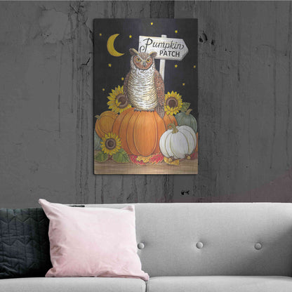 Luxe Metal Art 'Pumpkin Patch Owl' by Deb Strain, Metal Wall Art,24x36