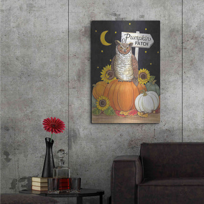 Luxe Metal Art 'Pumpkin Patch Owl' by Deb Strain, Metal Wall Art,24x36