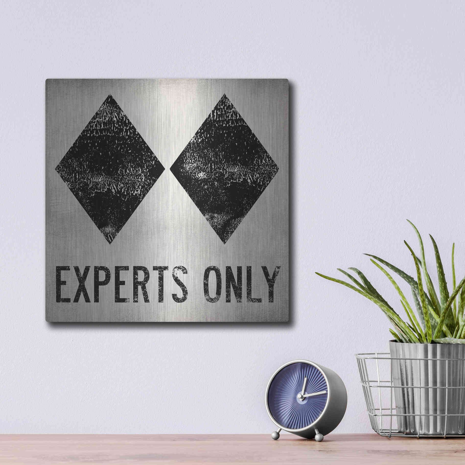 Luxe Metal Art 'Experts Only White' by Ryan Fowler, Metal Wall Art,12x12